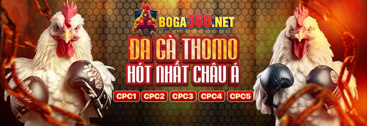 Sân vận động bóng đá với không khí sôi động của gamebet asia